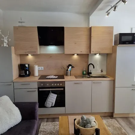 Appartement Bergsee Sun - Am Wildsee - Atemberaubende Aussicht *