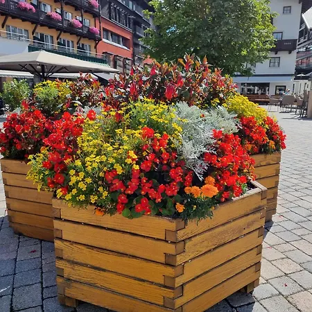 Apartment Bergsee Sun - Am Wildsee - Atemberaubende Aussicht Seefeld in Tirol