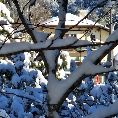 Bergsee Sun - Am Wildsee - Atemberaubende Aussicht Ζέεφελντ