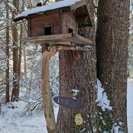 Bergsee Sun - Am Wildsee - Atemberaubende Aussicht * Ζέεφελντ