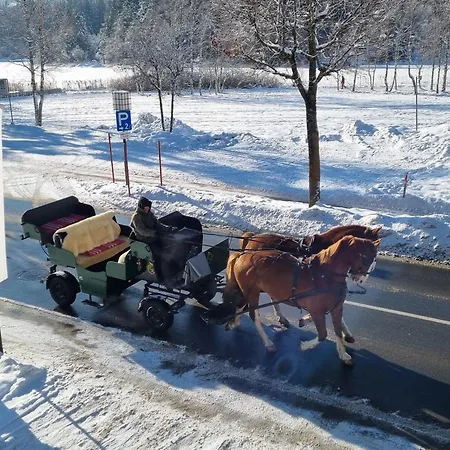 Bergsee Sun - Am Wildsee - Atemberaubende Aussicht Appartamento